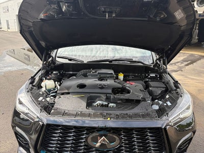 2023 INFINITI QX50 SPORT
