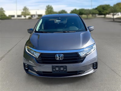 2024 Honda Odyssey Touring
