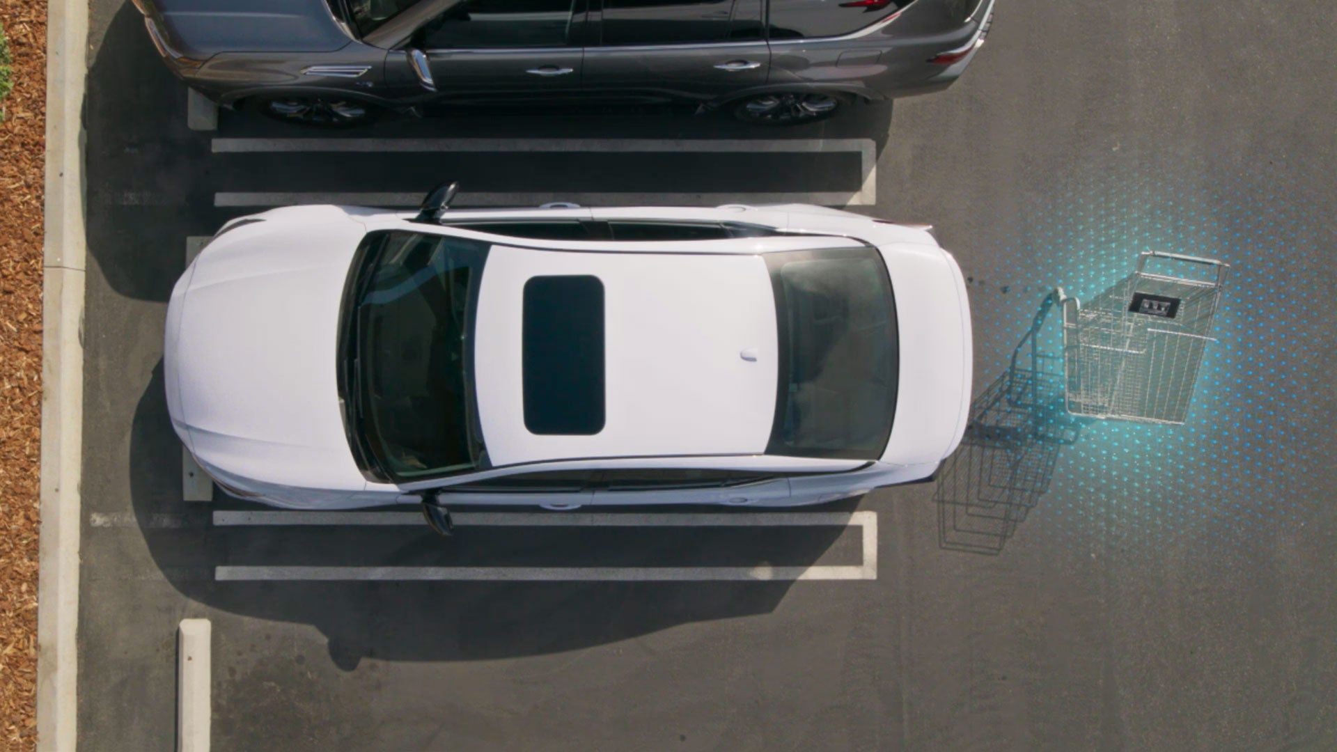 2026 Nissan Altima | Jim Shorkey Gainesville Nissan in Gainesville, GA